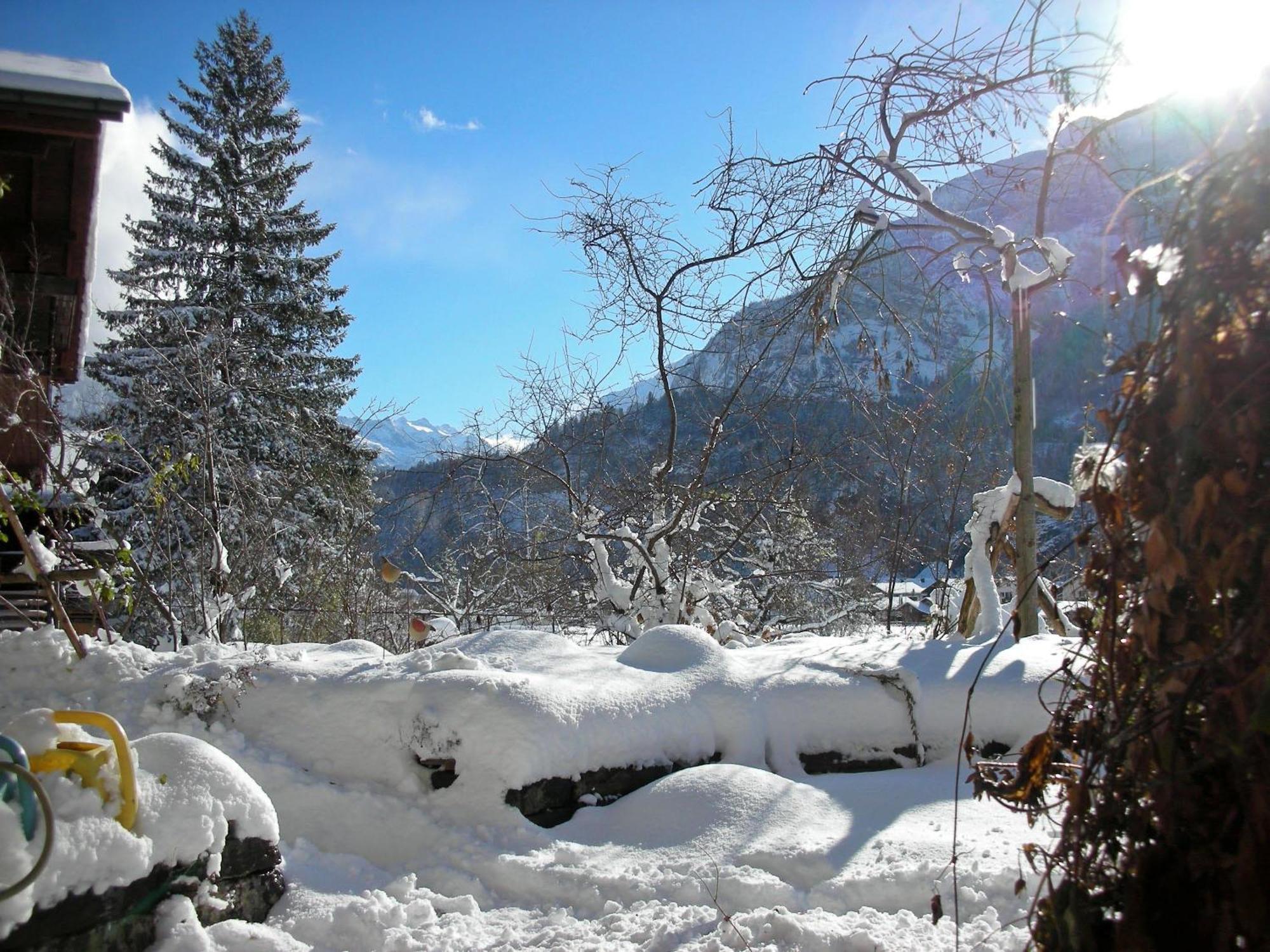 Dunkel Blaue Maus Bed & Breakfast Meiringen Ngoại thất bức ảnh