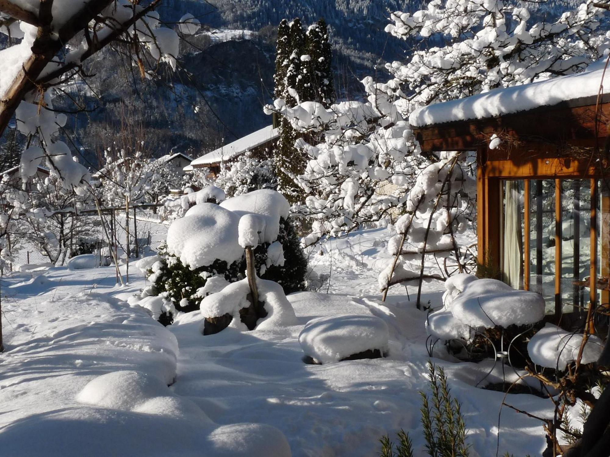 Dunkel Blaue Maus Bed & Breakfast Meiringen Ngoại thất bức ảnh
