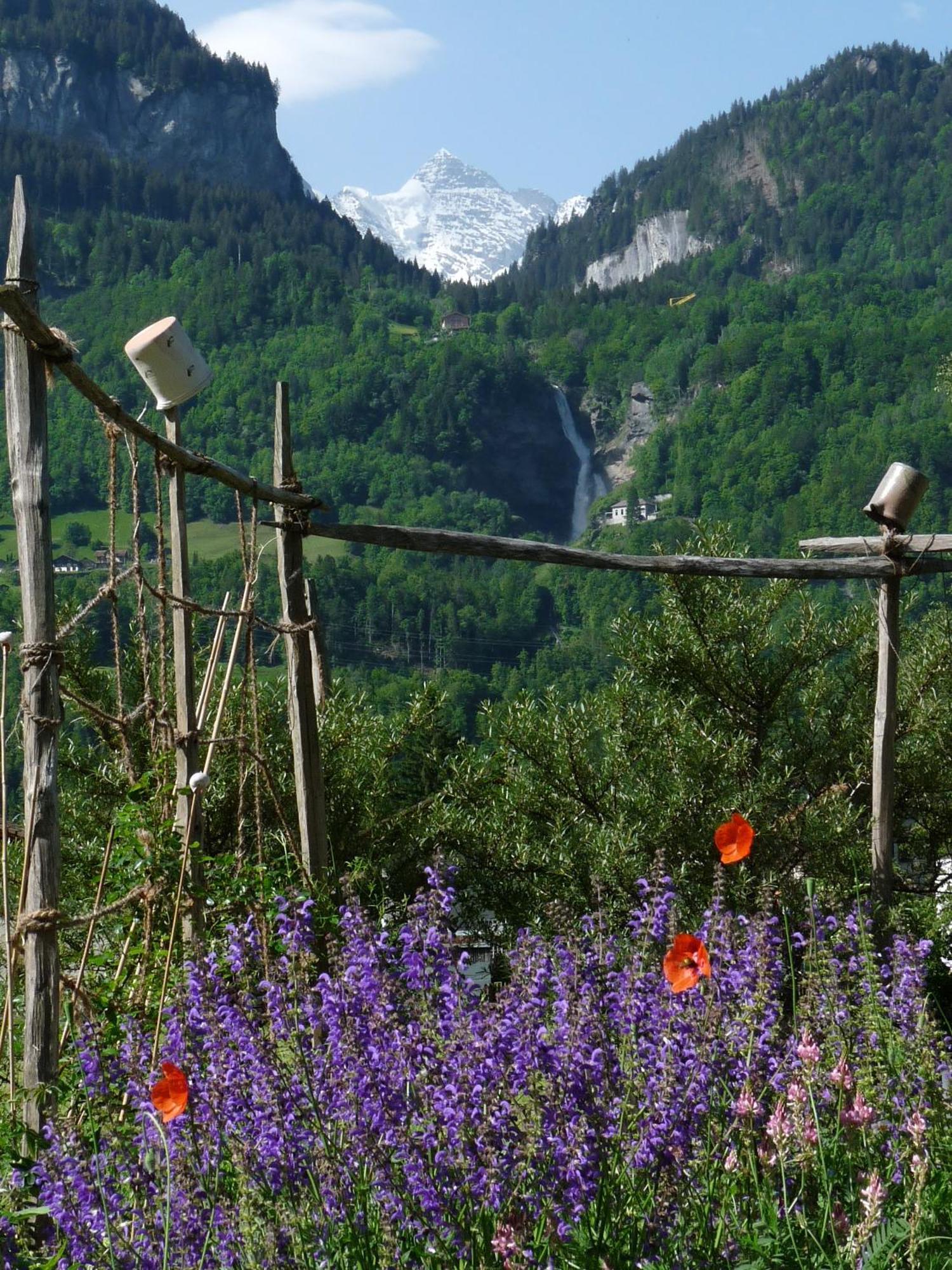 Dunkel Blaue Maus Bed & Breakfast Meiringen Ngoại thất bức ảnh