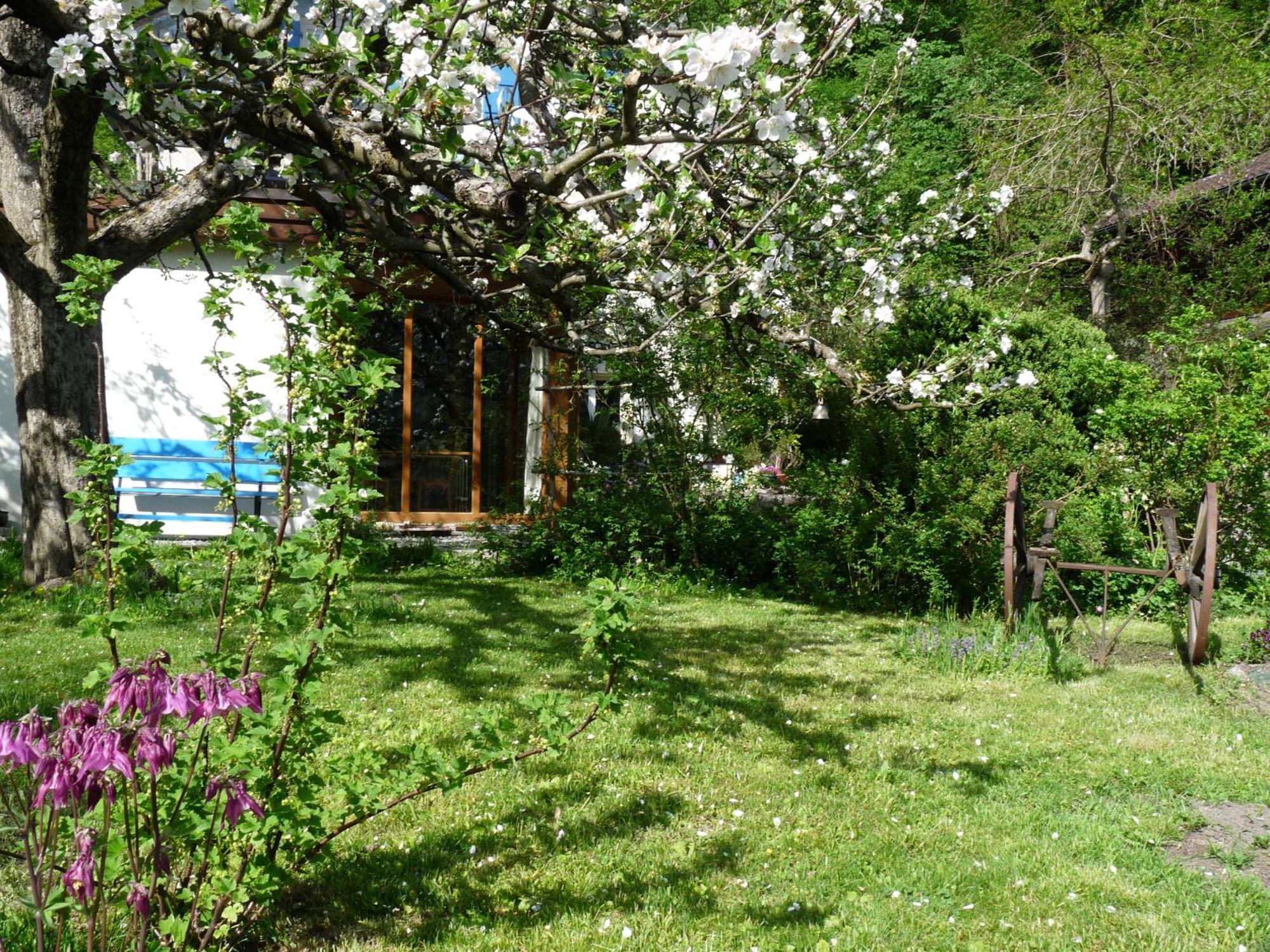 Dunkel Blaue Maus Bed & Breakfast Meiringen Ngoại thất bức ảnh