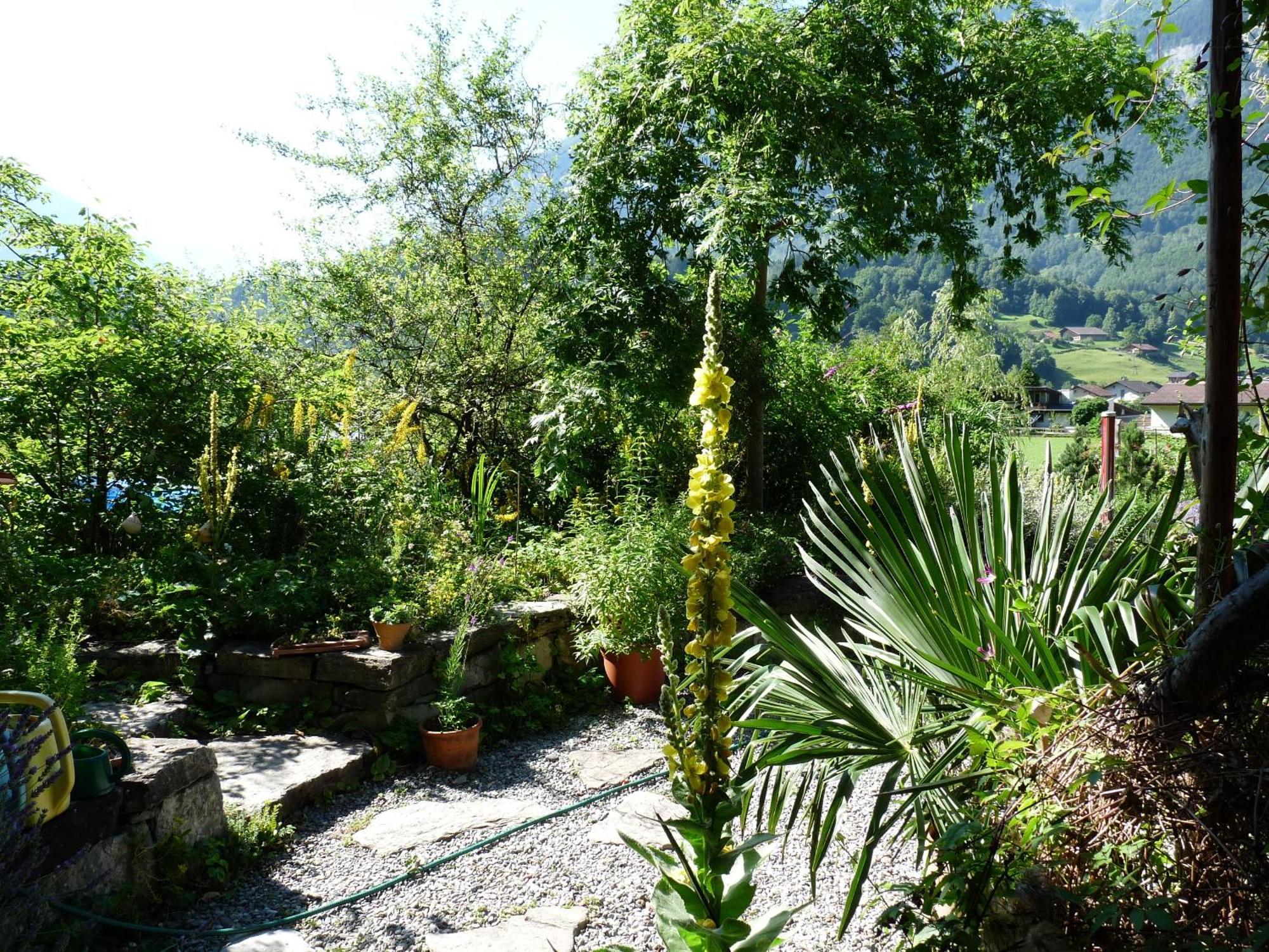Dunkel Blaue Maus Bed & Breakfast Meiringen Ngoại thất bức ảnh