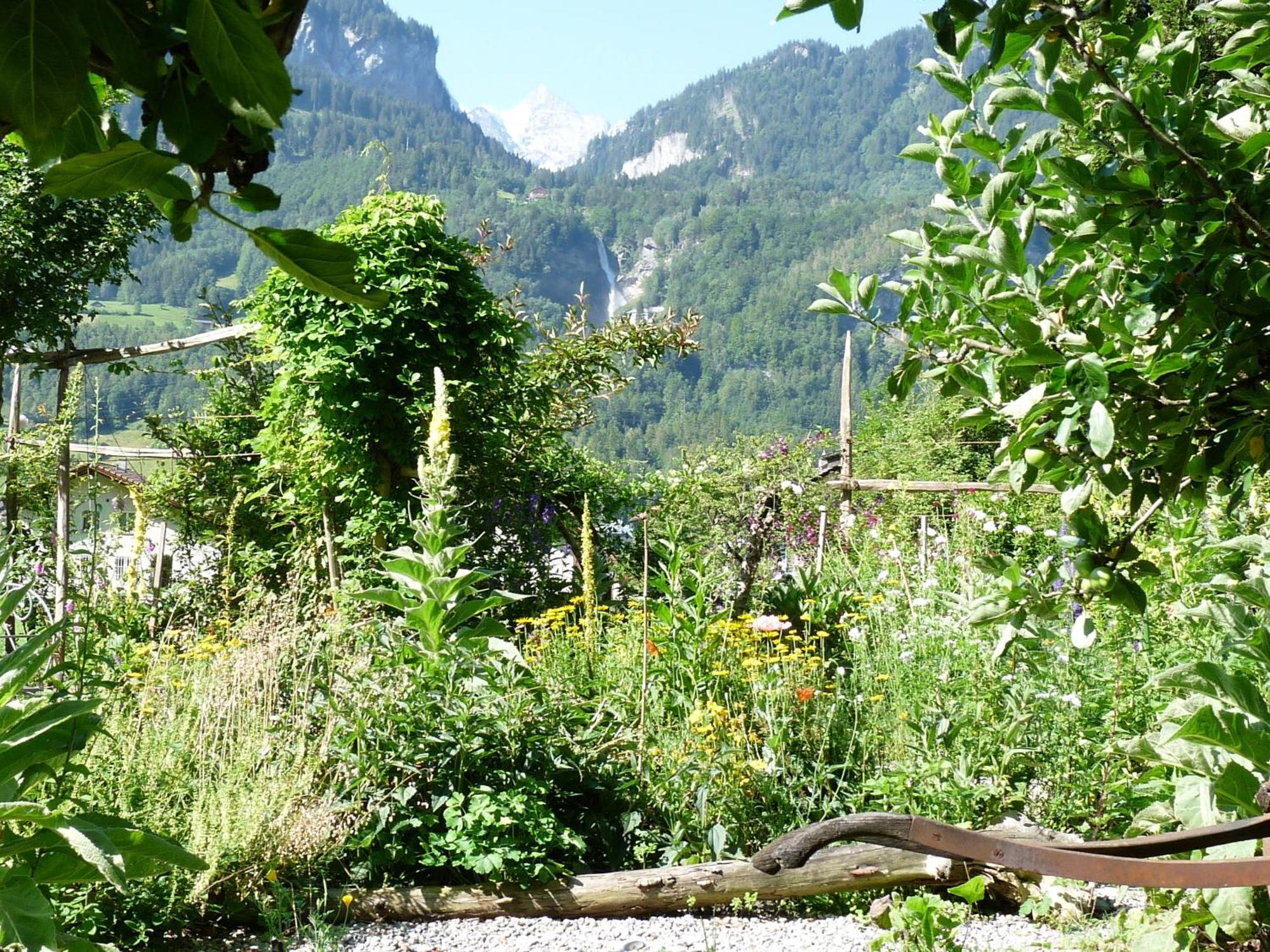 Dunkel Blaue Maus Bed & Breakfast Meiringen Ngoại thất bức ảnh